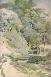 Faggio antico nella foresta di Windsor, Nature in Britain pubblicato da Collins, 1946